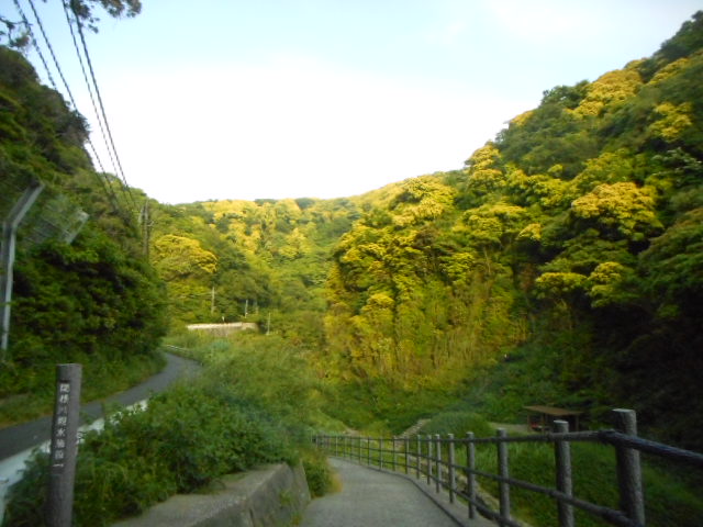 横須賀・久留和の奥にある関根川親水施設の遊歩道を歩きました！