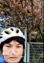 近所の八重さくらがきれいでしたー